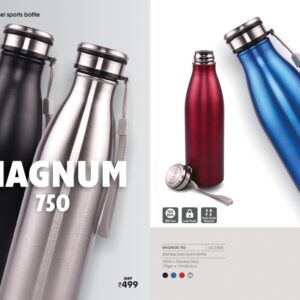 Stainless Steel Sports Bottle  MAGNUM