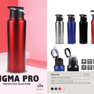 Stainless Steel Sports Bottle SIGMA PRO