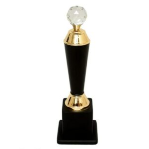 TROPHY 36691 26cms - Advertising Items In Bangalore 