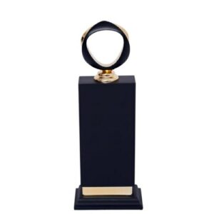 TROPHY 37251 26cms - Corporate Gifts Supplier in Bangalore  