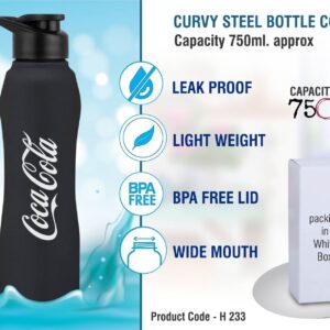 Curvy steel bottle Colored