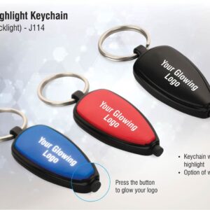 Logo highlight key chain white back light