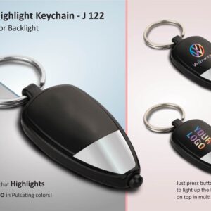 Two tone Logo highlight key chain