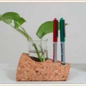 CORK PLANTER CUM PEN HOLDER