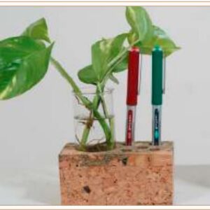 CORK TEXTURED PLANTER CUM PEN HOLDER