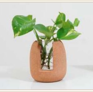 CORK TEST TUBE PLANTER 1