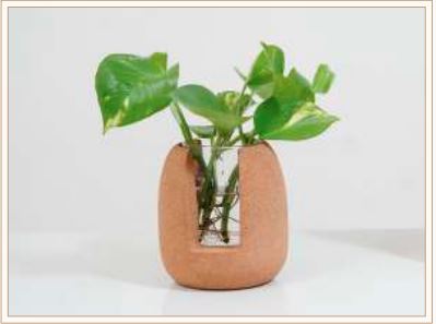 CORK TEST TUBE PLANTER 1
