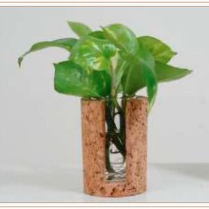 CORK TEST TUBE PLANTER 2