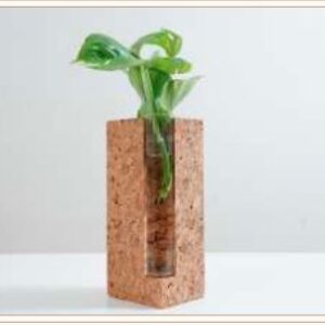 CORK TEST TUBE PLANTER 6