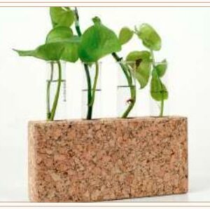 CORK TEST TUBE PLANTER 7