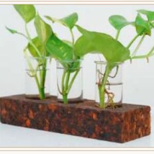CORK 3 HOLE PLANTER