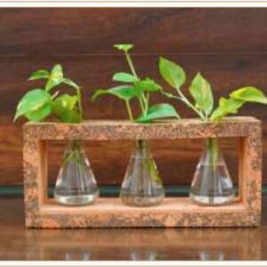 CORK 3 BEAKER PLANTER