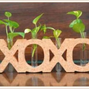 CORK XOXO PLANTER