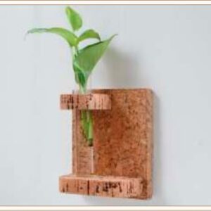 CORK WALL MOUNTED TEST TUBE PLANTER D2
