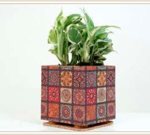 CORK BOX PRINT PLANTER