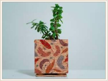 CORK FEATHER PLANTER