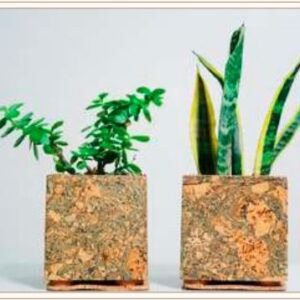 CORK OLIVE PLANTER