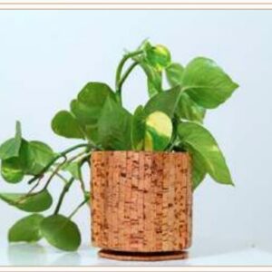 CORK HEXA PLANTER