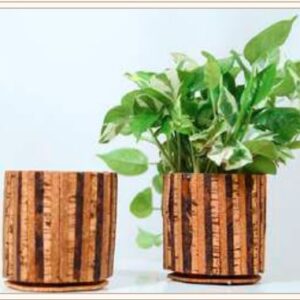 CORK STRIPED PLANTER