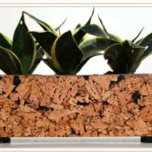 CORK TRIPLANTER