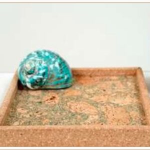 CORK OLIVE TRAY