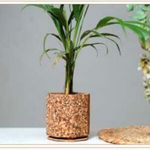 CORK NATURAL GRAIN PLANTER