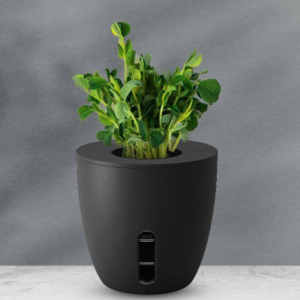 TERRA SELF WATERING PLANT POT