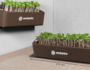 Everyday Organisers Terrarium