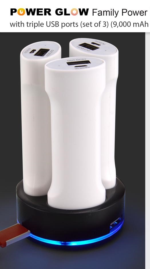 Family Power Bank | Corporate Gifts