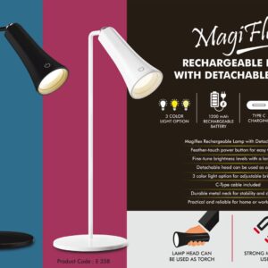Lamp With Detachable Head