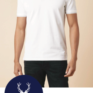 Allen Solly Tipping Polo T-shirt Brand Merchandise Bangalore